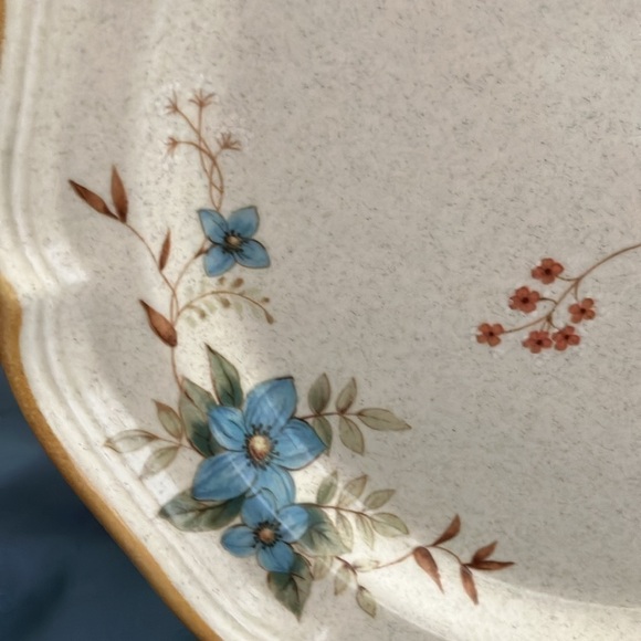 Mikasa: Garden Club DAY DREAMS (EC 461) Dinner Plates- lot of 2- 10 3/4" length - Picture 13 of 15